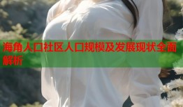 海角人口社区人口规模及发展现状全面解析