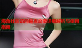 海角社区访问是否需要详细解析与使用指南