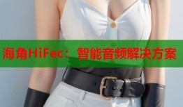海角HiFec：智能音频解决方案