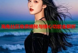 海角社区收费揭秘与核心功能全解析
