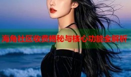 海角社区收费揭秘与核心功能全解析