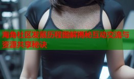 海角社区发展历程图解揭秘互动交流与资源共享秘诀