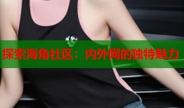 探索海角社区：内外网的独特魅力