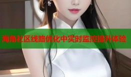 海角社区线路优化中实时监控提升体验