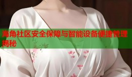 海角社区安全保障与智能设备便捷管理揭秘
