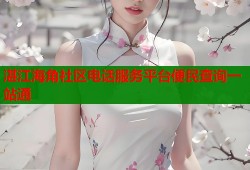 湛江海角社区电话服务平台便民查询一站通