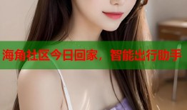 海角社区今日回家，智能出行助手
