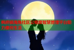 枫桥镇海角社区公租房智慧管理平台助力便民生活