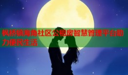 枫桥镇海角社区公租房智慧管理平台助力便民生活