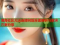 海角社区无法连接问题全面解析与解决方案分享