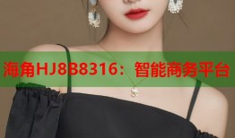 海角HJ8B8316：智能商务平台
