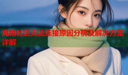 海角社区无法连接原因分析及解决方案详解