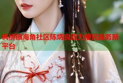 枫桥镇海角社区陈炳良助力便民服务新平台