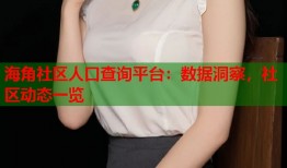 海角社区人口查询平台：数据洞察，社区动态一览