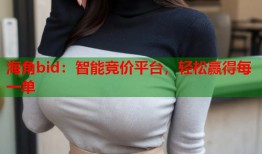 海角bid：智能竞价平台，轻松赢得每一单