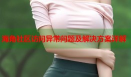 海角社区访问异常问题及解决方案详解
