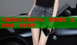 天赐碧园社区服务平台：便捷缴费、实时报修、智能安防