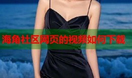 海角社区网页的视频如何下载