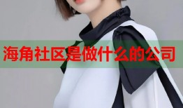 海角社区是做什么的公司