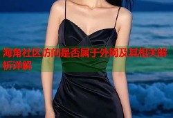 海角社区访问是否属于外网及其相关解析详解