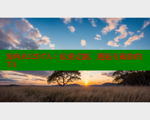 海角HJ2D7A：私密定制，邂逅专属你的TA