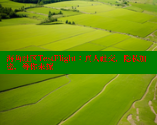 海角社区TestFlight：真人社交，隐私加密，等你来撩