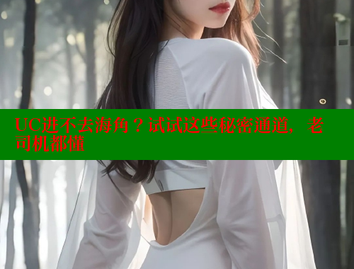 UC进不去海角？试试这些秘密通道，老司机都懂