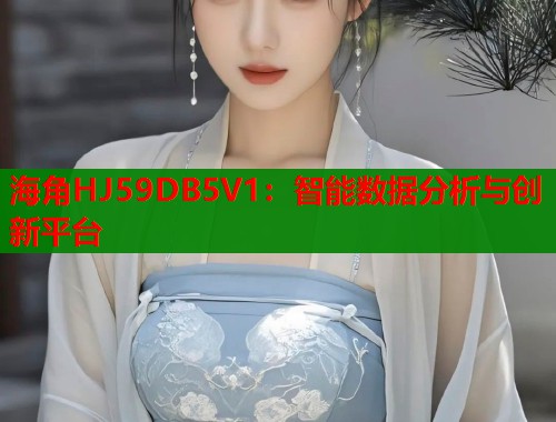 海角HJ59DB5V1：智能数据分析与创新平台