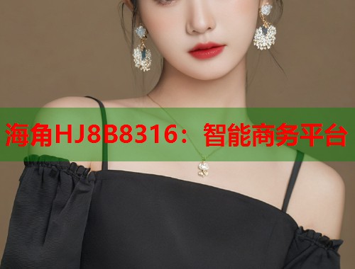 海角HJ8B8316：智能商务平台
