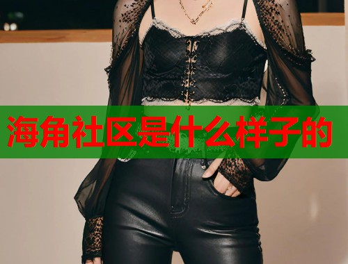 海角社区是什么样子的