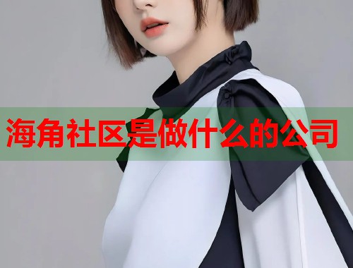 海角社区是做什么的公司