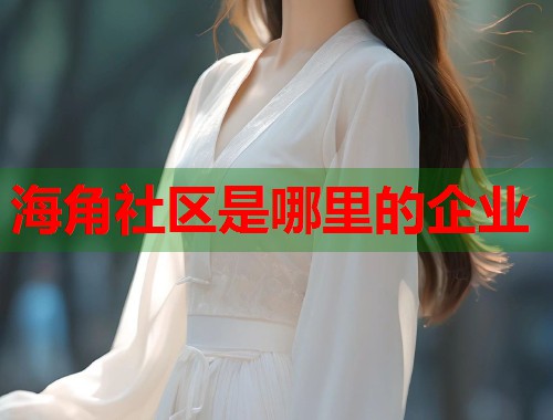 海角社区是哪里的企业