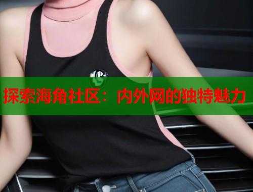 探索海角社区：内外网的独特魅力