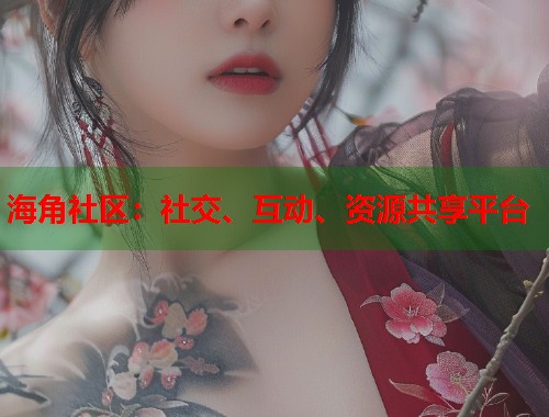 海角社区：社交、互动、资源共享平台