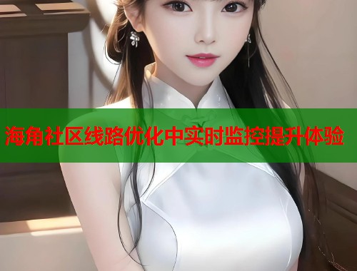 海角社区线路优化中实时监控提升体验